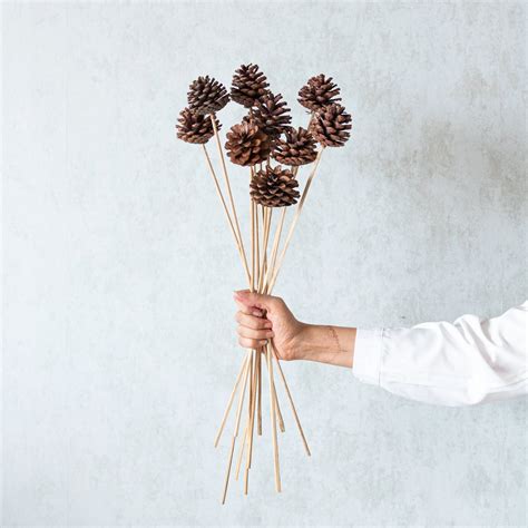 Pine Cone Sticks (Set of 10 pcs) – Flowers and Fillers