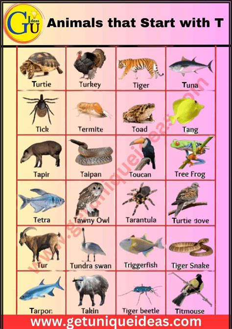 List of 100 Animals that Start with T: Pictures, Facts - GetUniqueIdeas