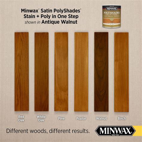 Minwax PolyShades Oil-based Antique Walnut Semi-transparent Satin ...