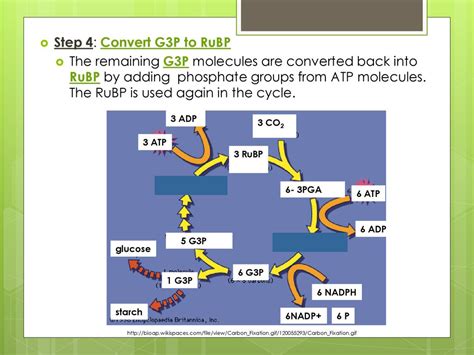 Image result for G3P Image Converter
