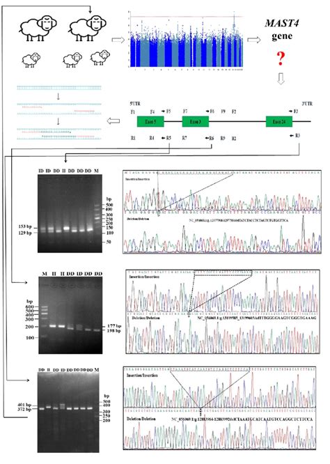 Basic Science Design 的图像结果