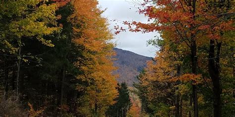 Huntington Tourism (2023): Best of Huntington, VT - Tripadvisor