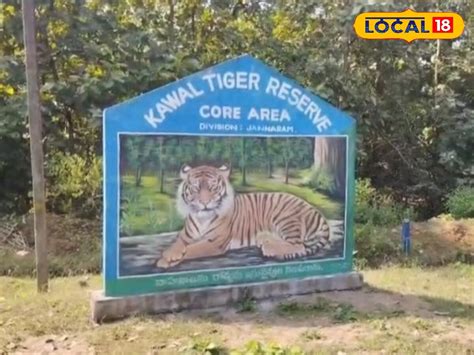 ఐదేళ్ల తర్వాత కవ్వాల్ అడవిలోకి వచ్చిన అతిథి.. ఈ సారైనా ఉంటాడా.. లేదా ...