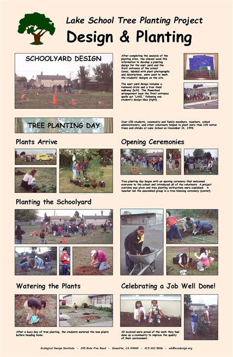 Image result for Tree-Planting Project for School