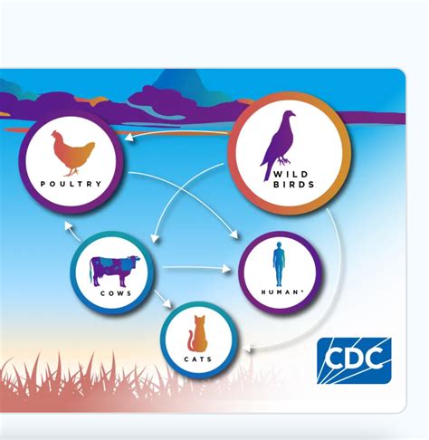 Operation Wildlife warns deadly bird flu spreading in portions of Kansas