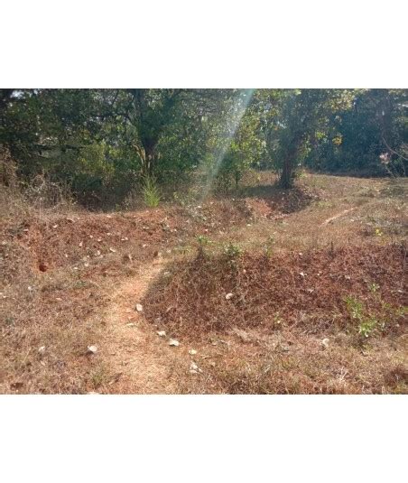 2 Acre Farm Land Panamaram