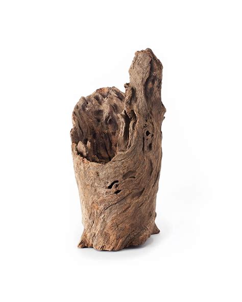 Image result for Solid Log