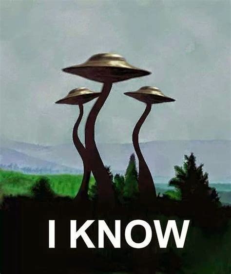 Alien Blutgruppe 的图像结果