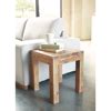 Buy Harry End Table Online in India | The Home Dekor