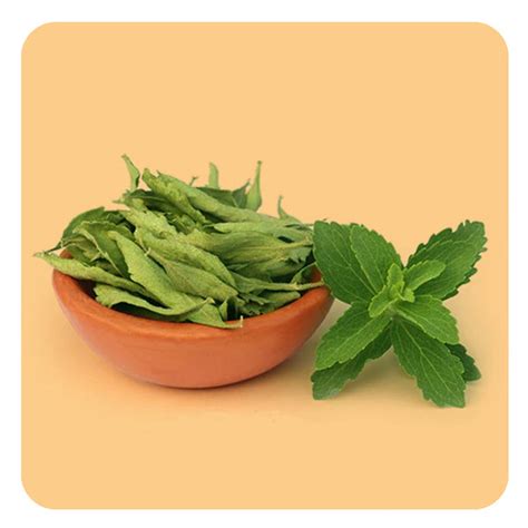 Ayurvedic Herb Healing Potli - Quick Pain Relief – Seer Secrets