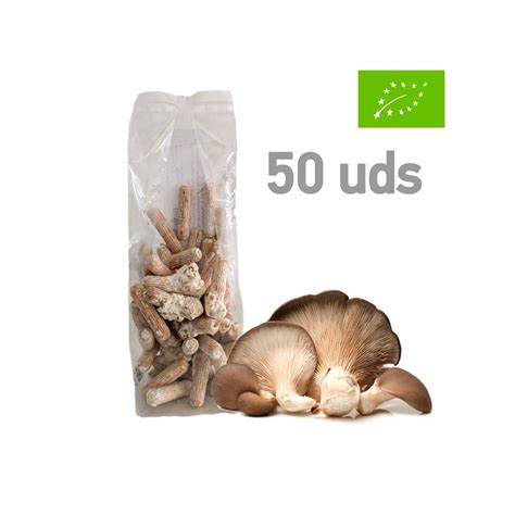 P. Ostreatus Mycelium Pellets | Boost Immunity