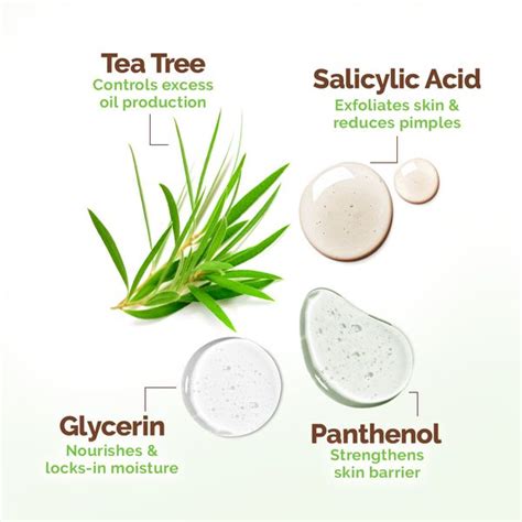 Tea Tree Oil Control Face Pack with Tea Tree & Salicylic Acid for ...