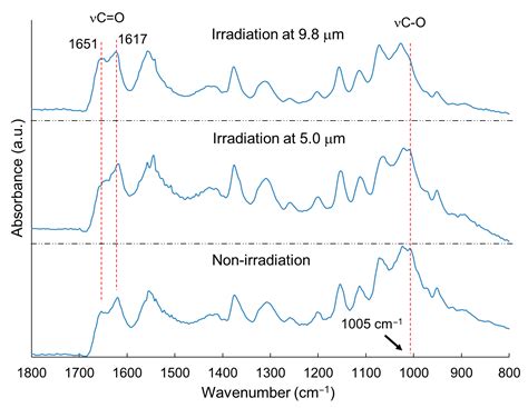 Direct Analysis of Solid-Phase Carbohydrate Polymers by Infrared ...
