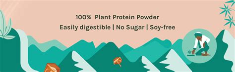 India Hemp Organics Iho|100% Plant Protein Powder|Vegan Protein|500 G ...