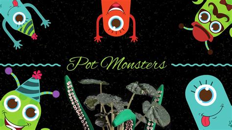 Pot Monsters, Art Reach of Mid Michigan, Mount Pleasant, 26 June 2024 ...