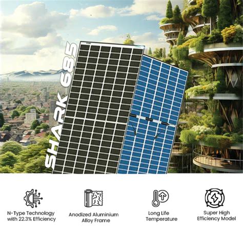 Loom Solar Panel - SHARK 685 Wp| N-Type Bifacial 12BB (Pack of 2 ...