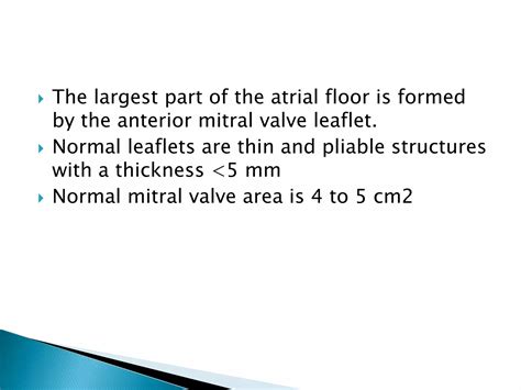 Anatomy of mitral valve echo evaluation | PPTX - structure of leaflet