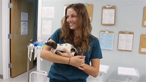 Guardian Consent Form | Oceanside Animal Hospital