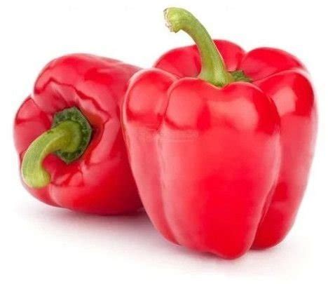 Fresh Red Capsicum Exporter,Fresh Red Capsicum Supplier from Jaipur India