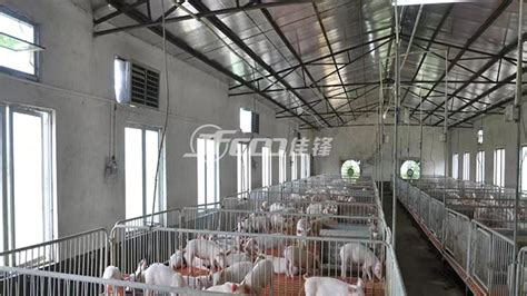 什么样的猪场栏舍环境才是最好的？ - 养猪场建设/养猪技术 - 中国养猪网-中国养猪行业门户网站
