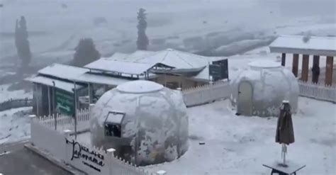 Video: First Snow Of Season Blankets Himachal Pradesh And Kashmir ...