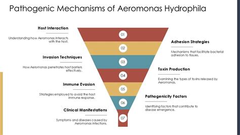 Image result for Example Email for Computing Lesson Year 3
