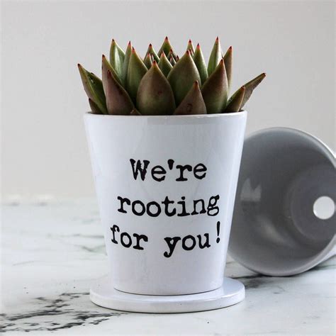Personalised Typewritten Quote Plant Pot | Plant pot diy, Diy plants ...