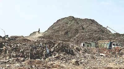 Bandhwari: Failed To Process Bandhwari Legacy Waste, 4 Cos Fined ...