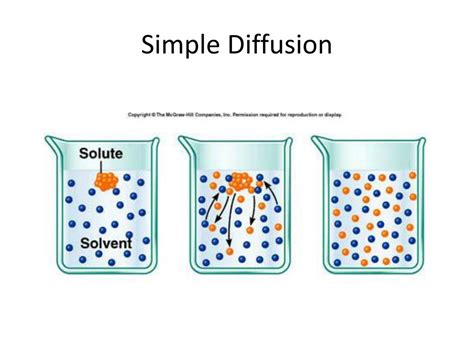 Image result for What Is Simple Diffusion