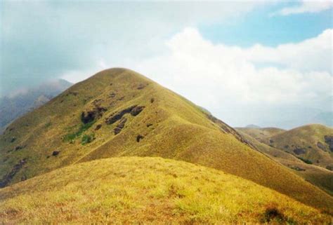 Anamudi - JungleKey.in Image