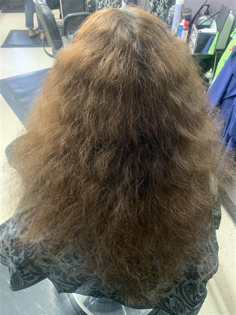 Pin by Perla Flores on Hair | Ugly hair, Curly hair brush, Brushed out ...