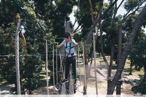 Forest Adventure 的图像结果