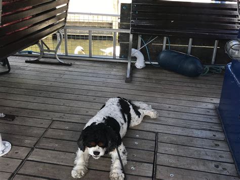 SALTER'S STEAMERS (Updated 2026) All You Need to Know BEFORE You Go ...