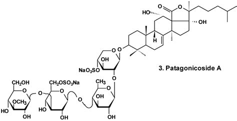 Anticancer Activity of Sea Cucumber Triterpene Glycosides