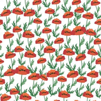Image result for Poppy Flower Pattern