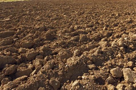 Ground Loop Currents 的图像结果