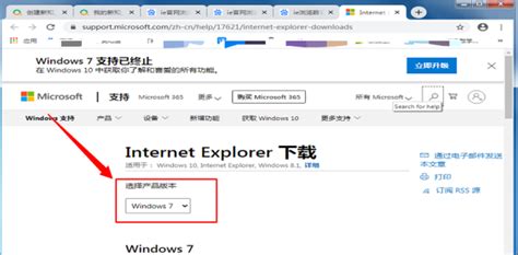 如何下载ie11浏览器到电脑_怎么下载ie11浏览器到电脑上-windows系统之家