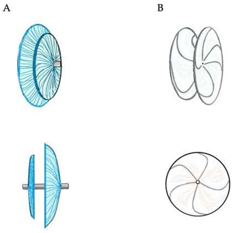 PFO Defect 的图像结果