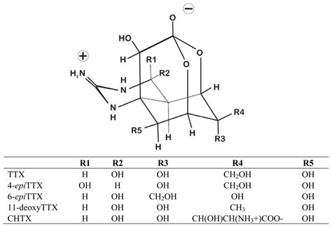 The Chemical and Evolutionary Ecology of Tetrodotoxin (TTX) Toxicity in ...
