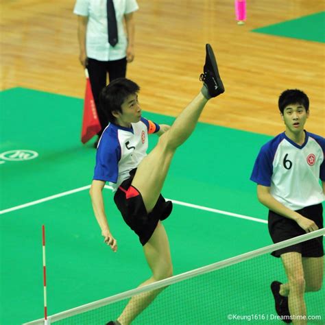 Chinese ShuttleCock 的图像结果