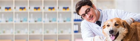 Veterinary Diagnostic Lab and Pathology Laboratory for Veterinary Test ...