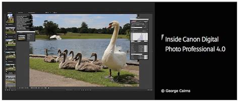 Image result for Canon DPP4 Tutorial