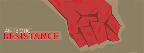 Antibiotic Resistance | CME Learning Center | CME Learning Overview ...