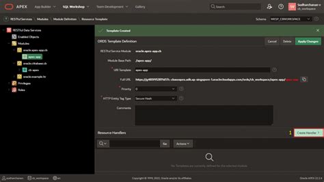 Image result for How to Apply API in Apex
