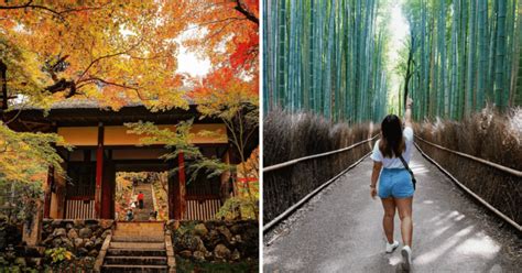 Local Train Japan 的图像结果