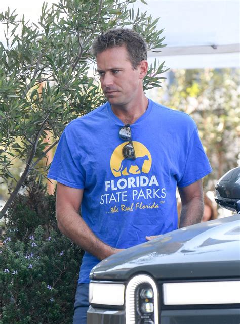 Elizabeth Chambers allegedly posed as friend to leak Armie Hammer stories