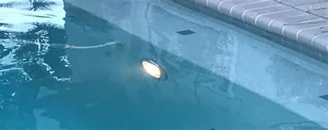 Image result for Swimming Pool Light Installation