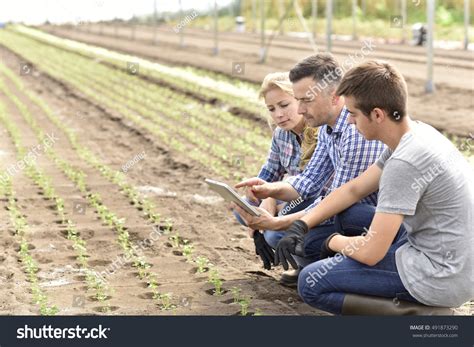 3,548 Training Of Farmers Images, Stock Photos & Vectors | Shutterstock