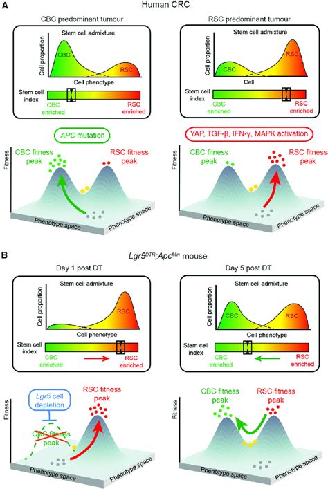 Fitness Landscape 的图像结果