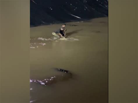 Four-foot-long crocodile rescued from pond made for Ganpati idol ...